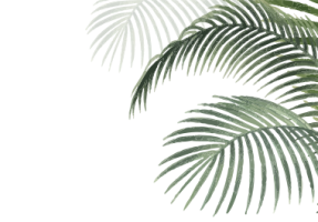 Quando usar gelo nas lesões